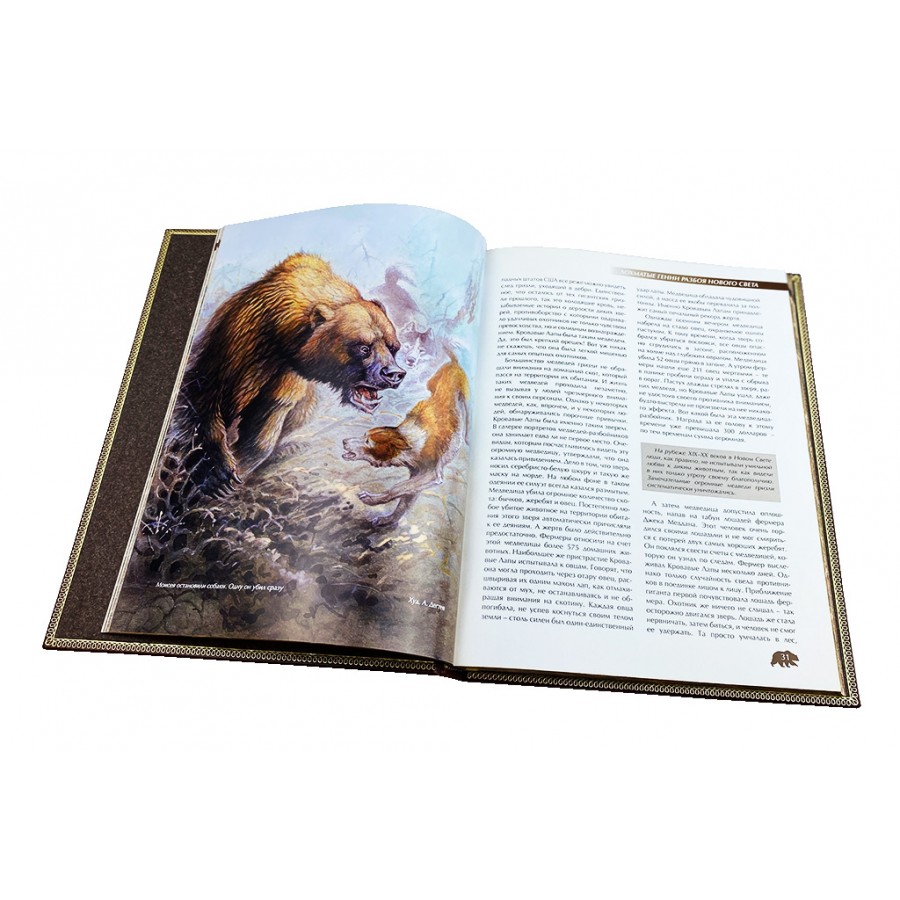 Подарочная книга "Охота на медведя" - артикул: 121240 - стоимость: 22 500 руб. Подарочная книга "Охота на медведя" - артикул: 121240 | Мосподарок