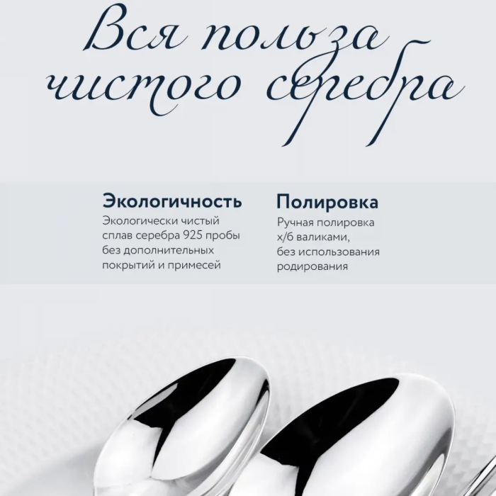 Серебряный столовый набор"Меридиан": вилка, ложка, нож, чайная ложка, на 12 персон, 48 предметов - артикул: AK01855 - стоимость: 934 000 руб. Серебряный столовый набор"Меридиан": вилка, ложка, нож, чайная ложка, на 12 персон, 48 предметов - артикул: AK01855 | Мосподарок