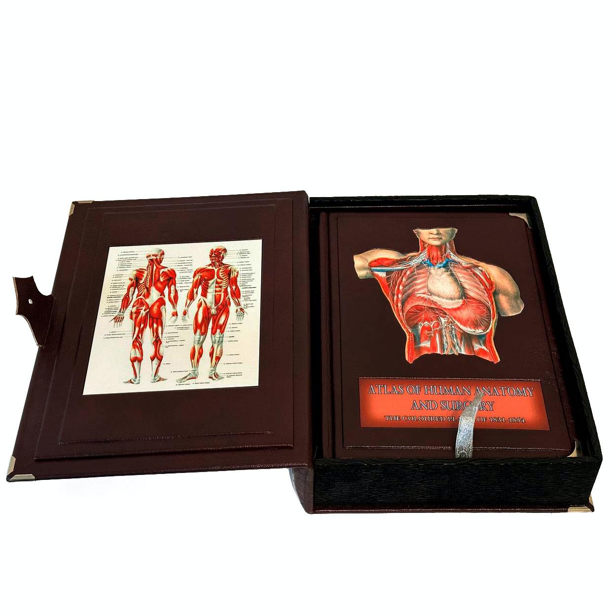 Atlas of Human Anatomy and Surgery "Bourgery Jean Marc, Jacob Nicolas Henri" - артикул: 121552 | Мосподарок 