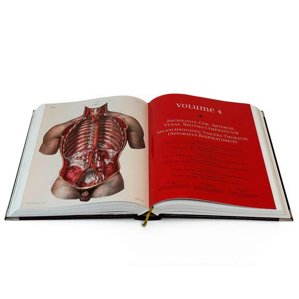 Atlas of Human Anatomy and Surgery "Bourgery Jean Marc, Jacob Nicolas Henri" - артикул: 121552 | Мосподарок 