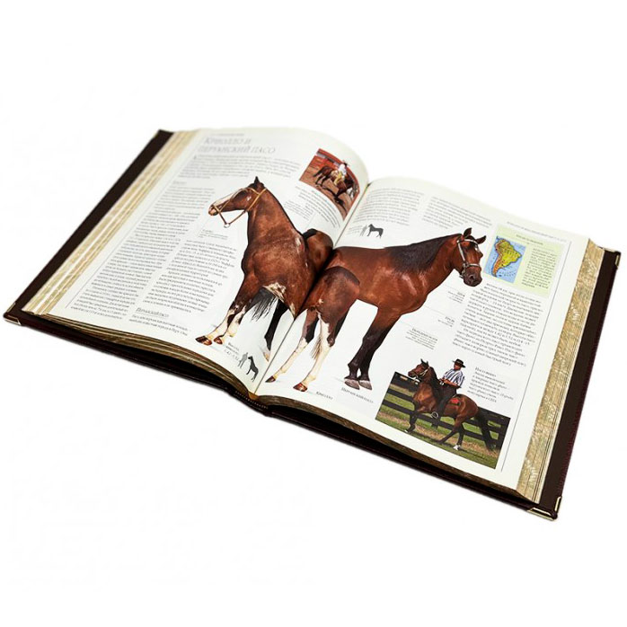 Подарочная книга "Лошади" Новая энциклопедия (в коробе) - артикул: 121508 | Мосподарок 