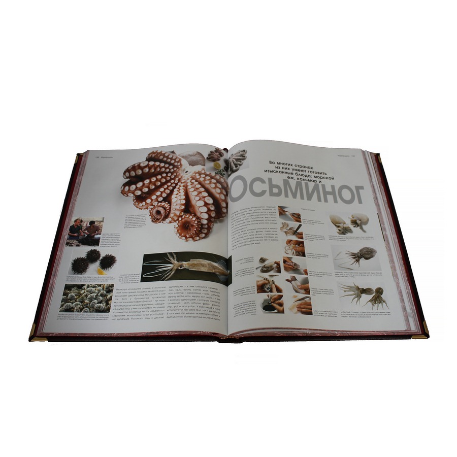 Подарочная книга "Кулинария" - артикул: 121270 | Мосподарок 