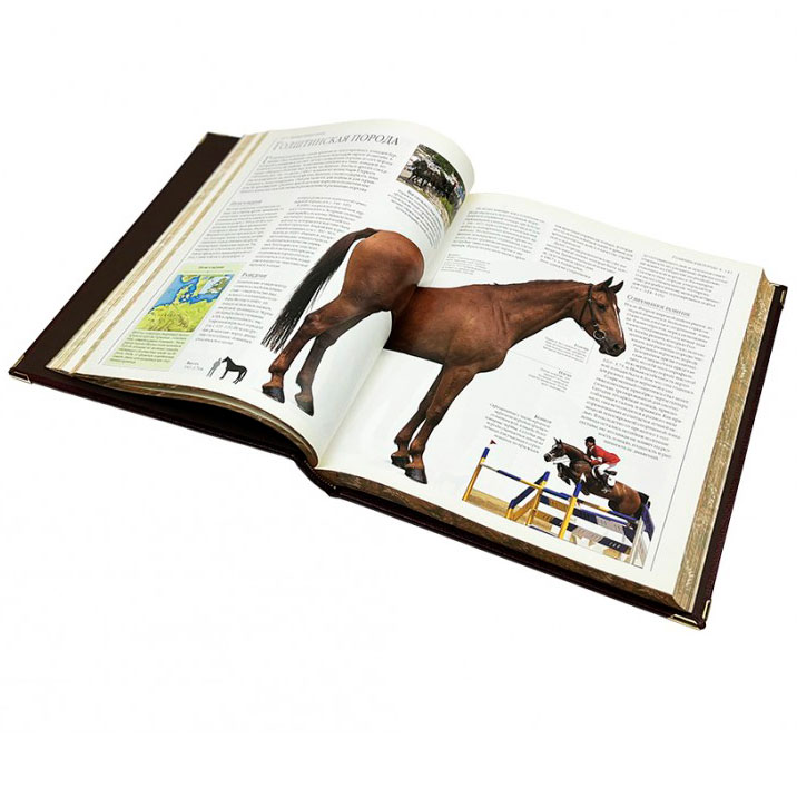 Подарочная книга "Лошади" Новая энциклопедия (в коробе) - артикул: 121508 | Мосподарок 