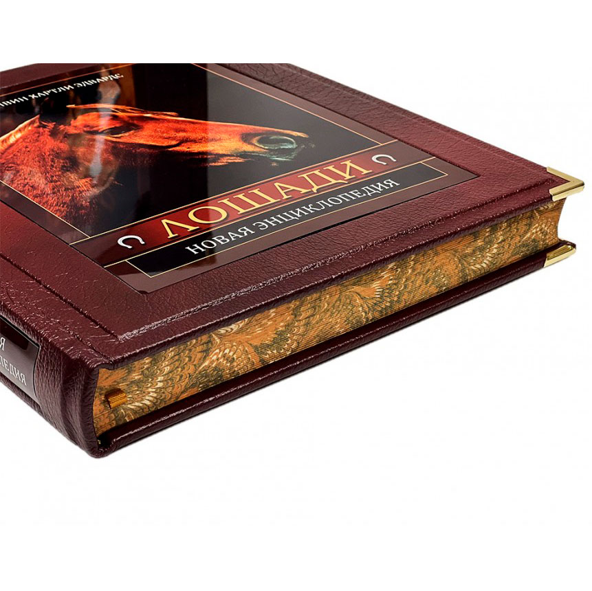 Подарочная книга "Лошади" Новая энциклопедия (в коробе) - артикул: 121508 | Мосподарок 