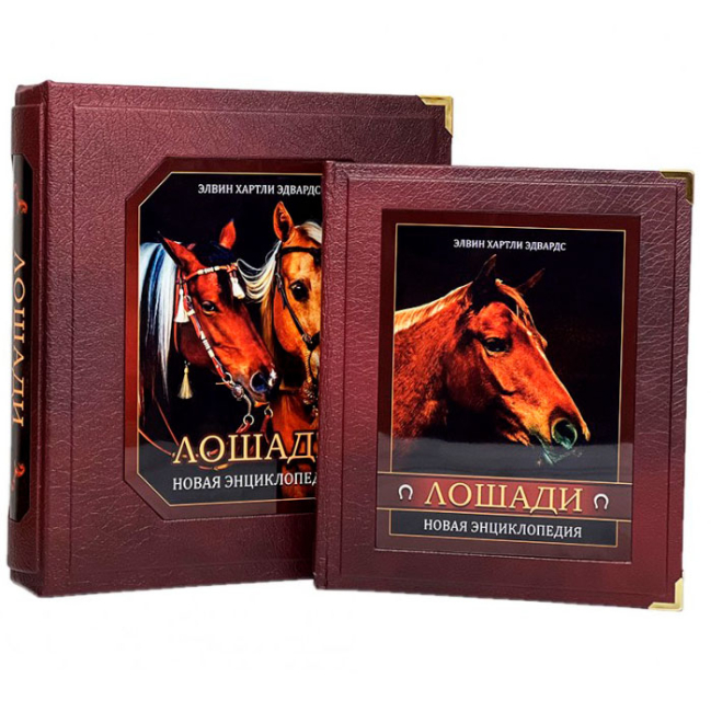 Подарочная книга "Лошади" Новая энциклопедия (в коробе)