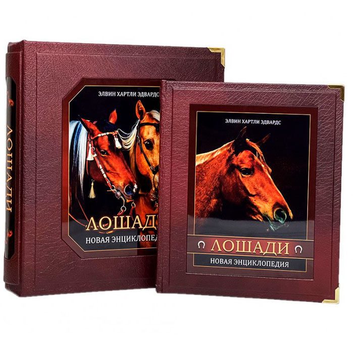 Подарочная книга "Лошади" Новая энциклопедия (в коробе) - артикул: 121508 | Мосподарок 