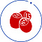 Лото